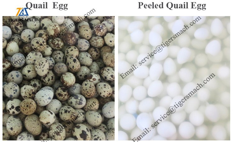 product-750-459
