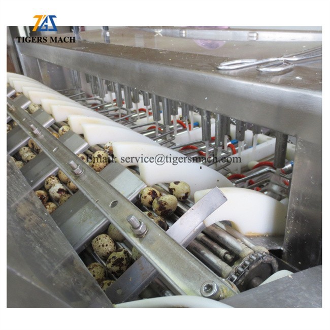 Hard Cooked Quail Egg Shell Remover Machine Salable in Romania (4)