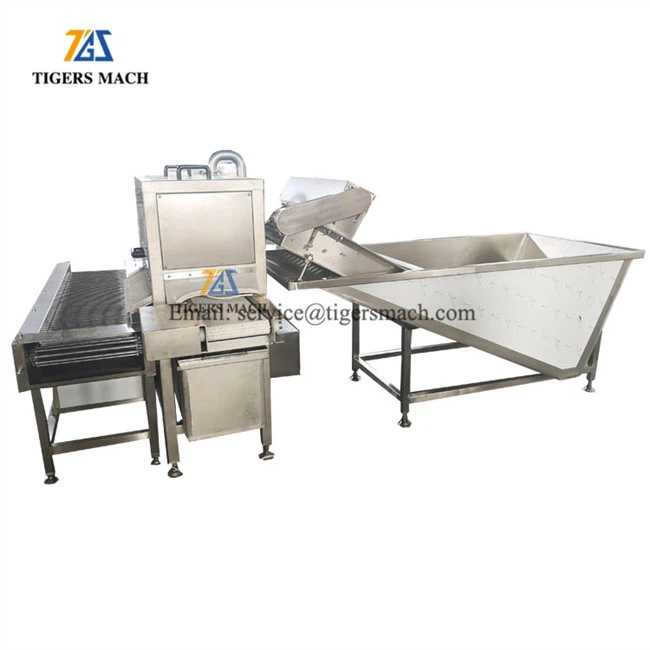 Lowest Breakge Rate Peeled and Shelled Quail Egg Making Process Machine (6)