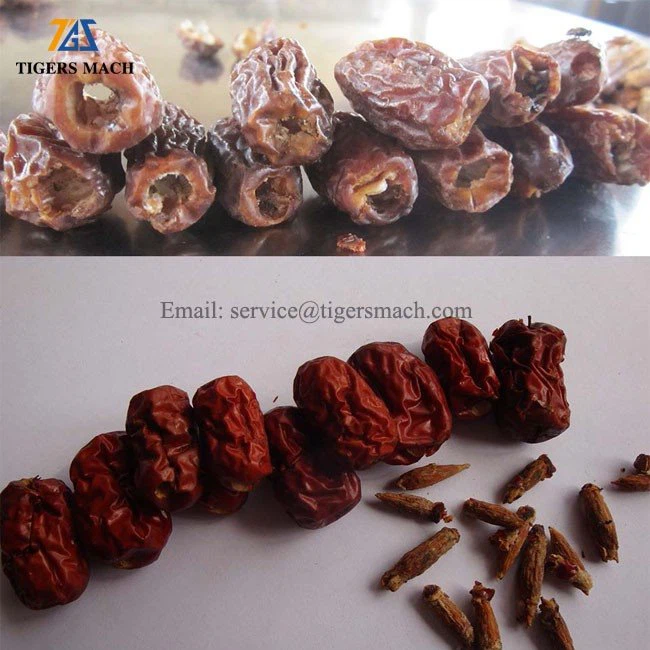 Commercial Date Pitter And Cutter Machinery